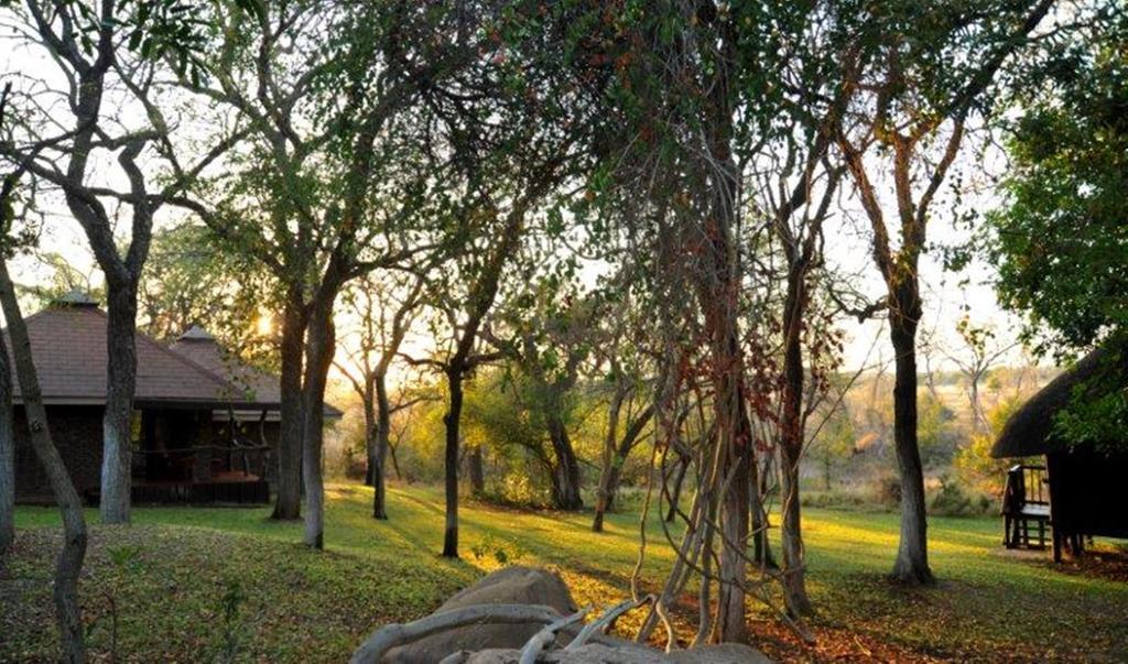 Idube Game Reserve سابس ساند جيم ريسير المظهر الخارجي الصورة