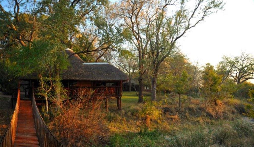 Idube Game Reserve سابس ساند جيم ريسير الغرفة الصورة